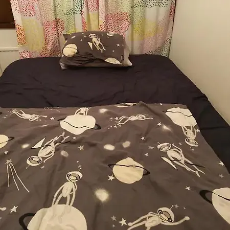Pitaejaenmaeki House ! هلسنكي